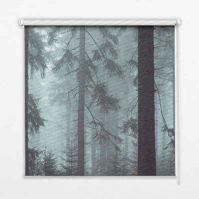 Roller blind for large window Forest at night