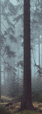 Roller blind for large window Forest at night