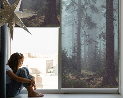 Roller blind for large window Forest at night
