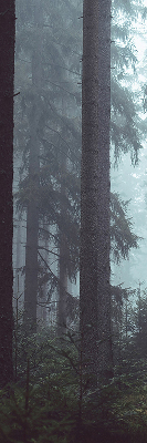 Roller blind for large window Forest at night
