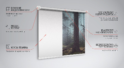 Roller blind for large window Forest at night