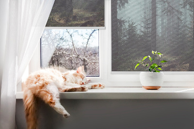 Roller blind for large window Forest at night