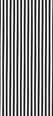 Modern roller blind Black and white stripes