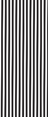 Modern roller blind Black and white stripes