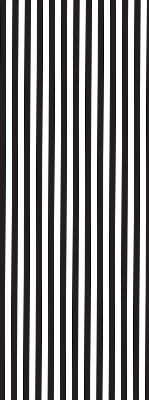 Modern roller blind Black and white stripes