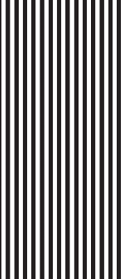Modern roller blind Black and white stripes