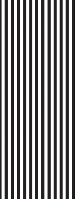 Modern roller blind Black and white stripes