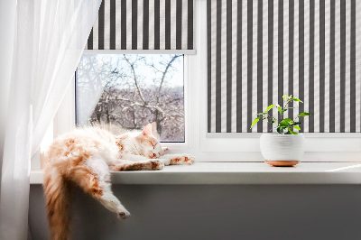 Modern roller blind Black and white stripes