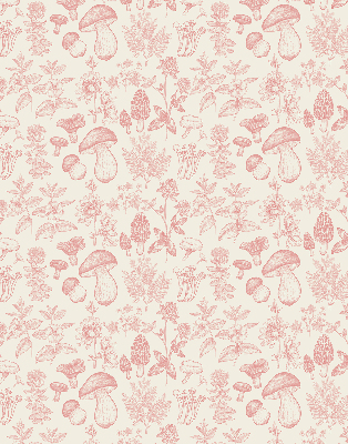 Modern roller blind Drawn mushrooms