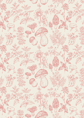 Modern roller blind Drawn mushrooms
