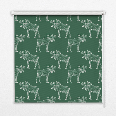 Roller blind for large window Green moose
