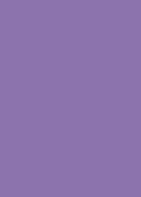 Fabric roller blind Purple