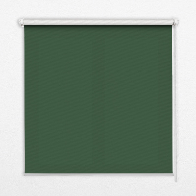 Modern roller blind Green