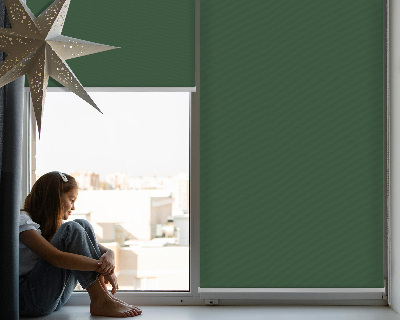 Modern roller blind Green