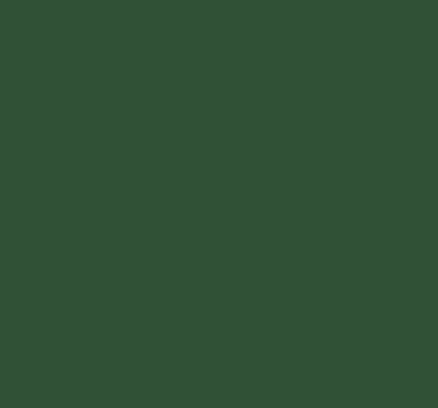 Modern roller blind Green