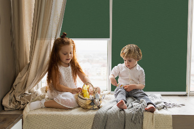 Modern roller blind Green