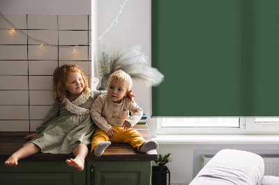Modern roller blind Green