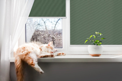 Modern roller blind Green