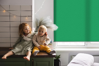 Roller blind for large window Green