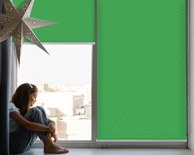 Fabric roller blind Green