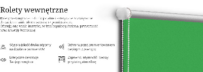 Fabric roller blind Green