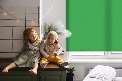Fabric roller blind Green