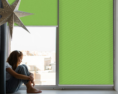 Modern roller blind Green