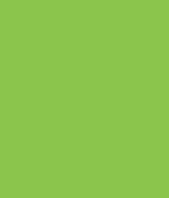 Modern roller blind Green