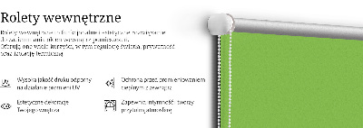 Modern roller blind Green