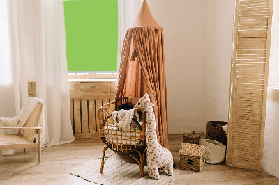Modern roller blind Green