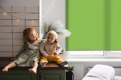 Modern roller blind Green