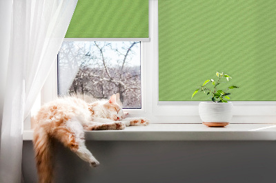 Modern roller blind Green