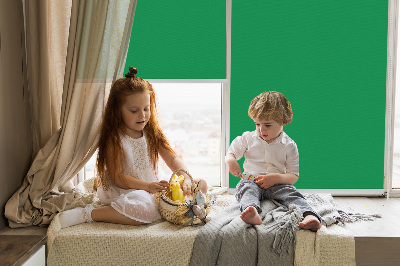 Roller blind for large window Green