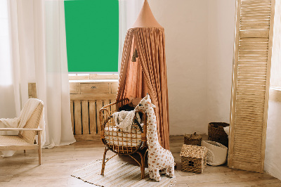 Roller blind for large window Green