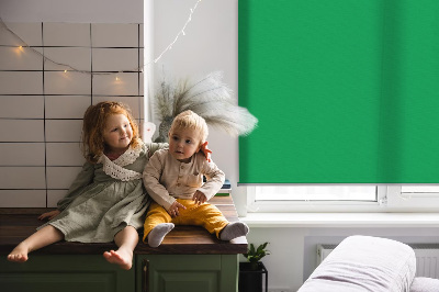 Roller blind for large window Green