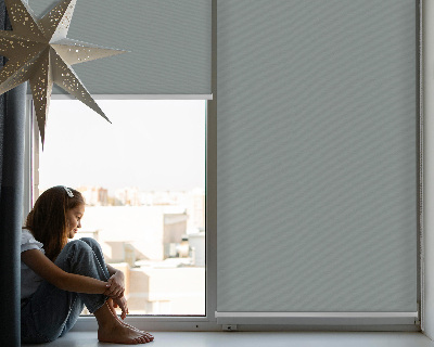 Modern roller blind Gray