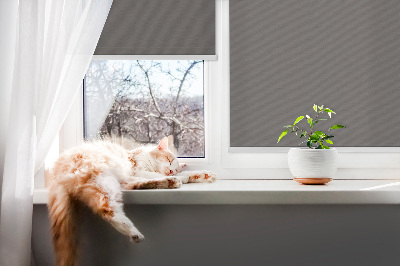 Fabric roller blind Gray