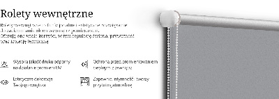 Modern roller blind Gray