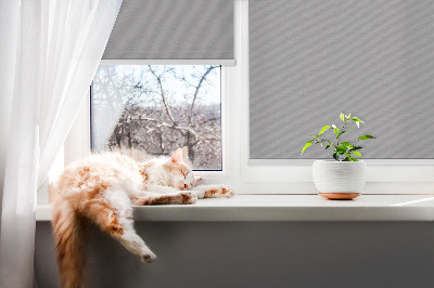 Modern roller blind Gray