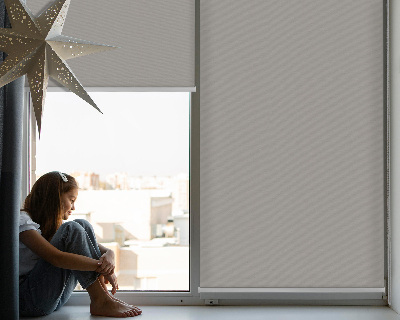 Modern roller blind Gray