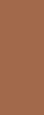 Fabric roller blind Brown