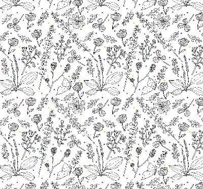Roller blind for large window Drawn plants
