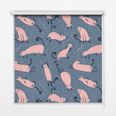 Modern roller blind Pink cats