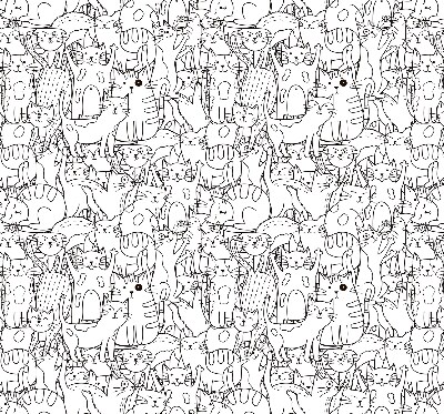 Fabric roller blind Drawn cats