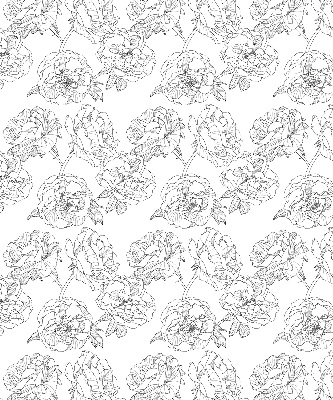 Modern roller blind Drawn roses
