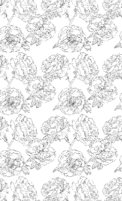 Modern roller blind Drawn roses