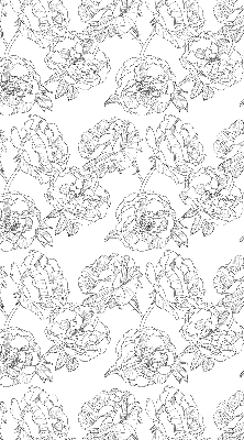 Modern roller blind Drawn roses