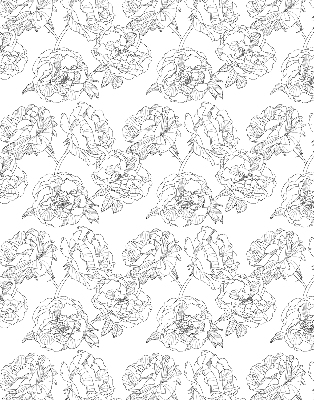 Modern roller blind Drawn roses