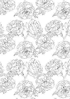 Modern roller blind Drawn roses