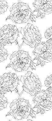 Modern roller blind Drawn roses